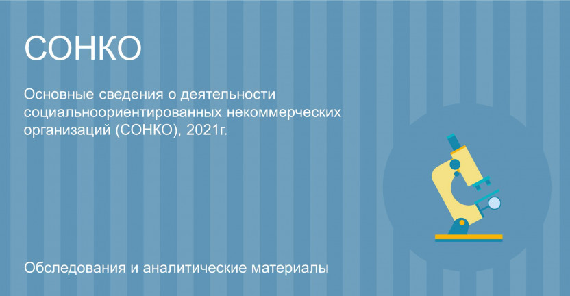Основные сведения о деятельности социально ориентированных некоммерческих организаций (СОНКО) Республики Мордовия